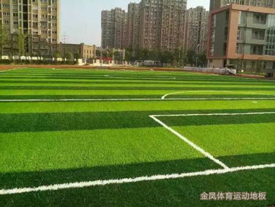�����ƺ